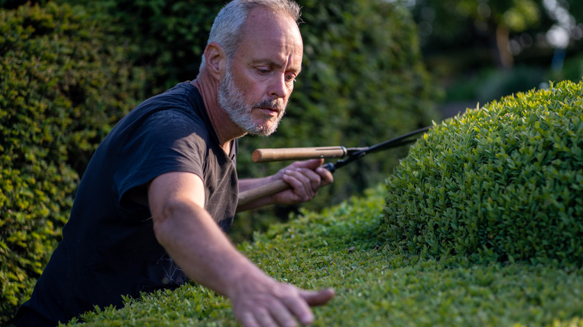 Foto. En mann stryker ene hånden over en hekk, i den andre holder han en hekkesaks.